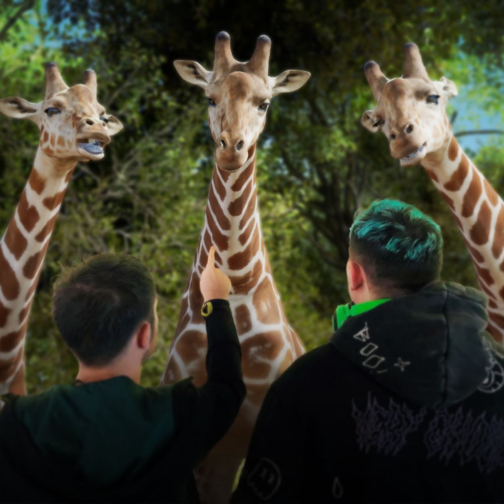 Hologram Zoo. 3 giraffes looking down on zoo visitors