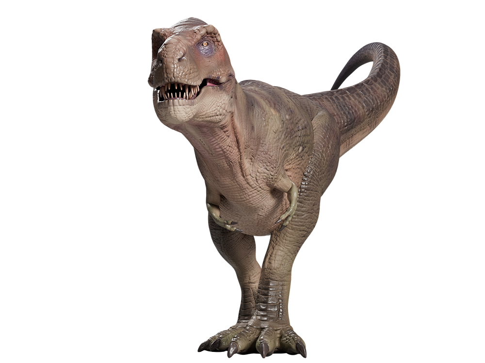Hologram Zoo Lehigh Valley: T Rex