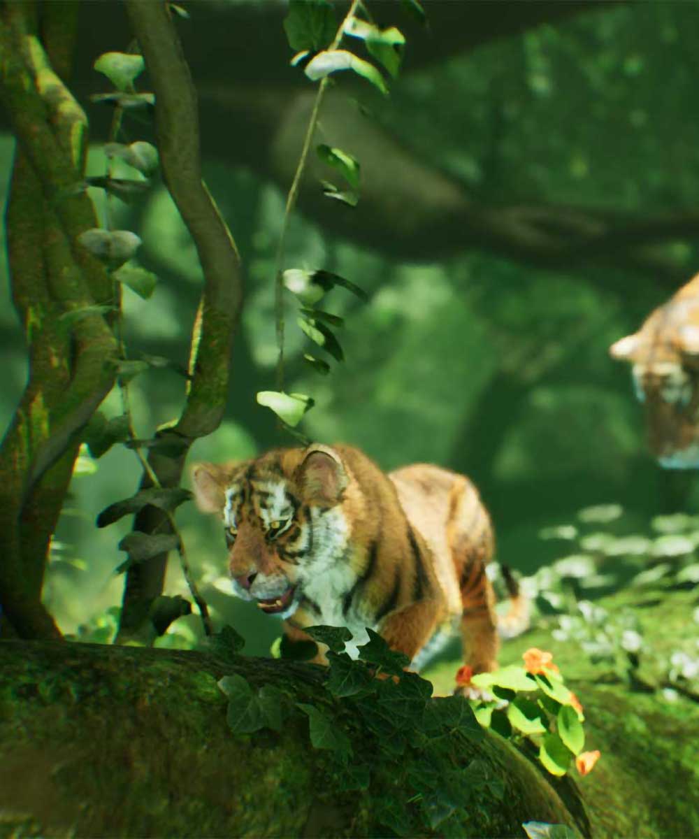 Hologram Zoo Lehigh Valley: tiger cub and its mom