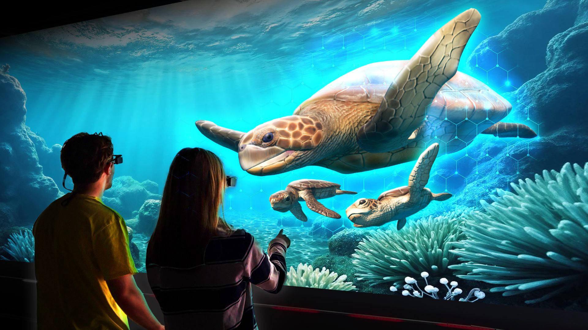Hologram Zoo Lehigh Valley: Aquarium Experience